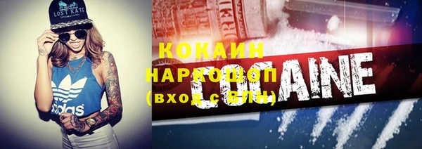 молекула духа Осташков