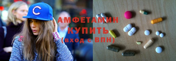 молекула духа Осташков