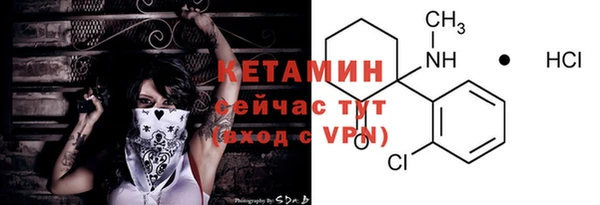 дмт Пересвет