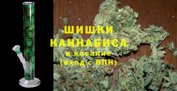 молекула духа Осташков
