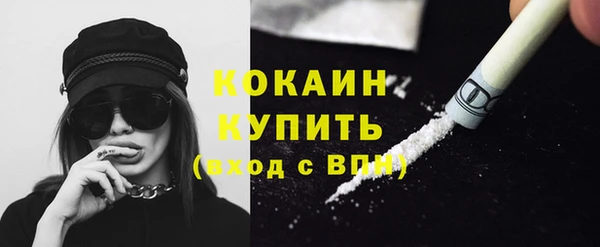 дмт Пересвет