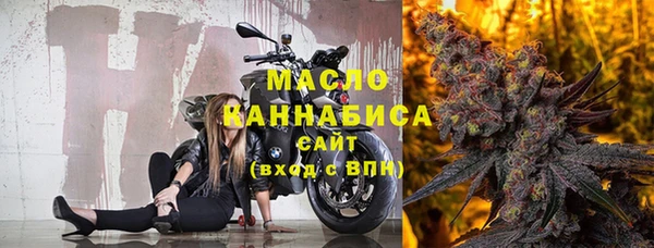 молекула духа Осташков