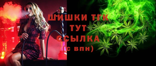 молекула духа Осташков