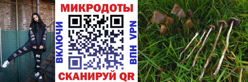где купить наркоту  Арамиль  Псилоцибиновые грибы Magic Shrooms 